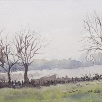 Colchester landscape 